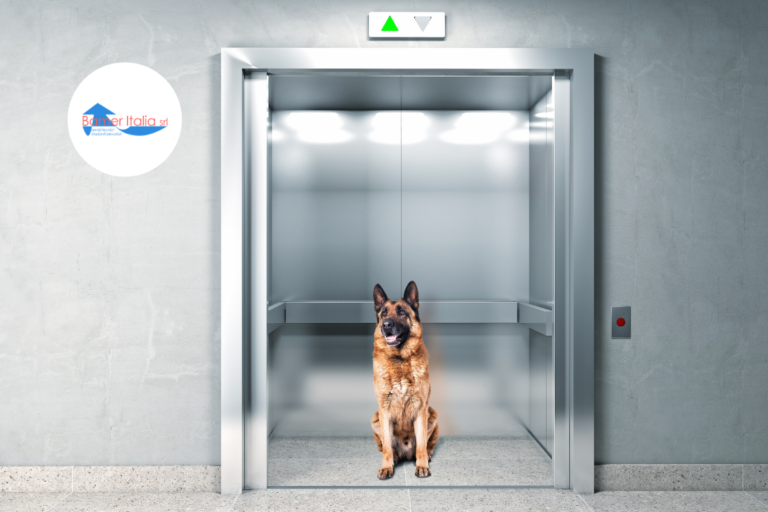 cane in ascensore condominiale